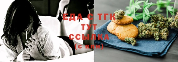 МДПВ Бородино