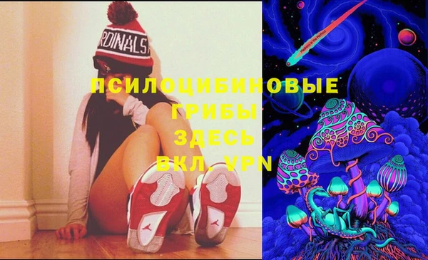 Альфа ПВП Бронницы