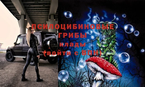 твердый Дмитровск