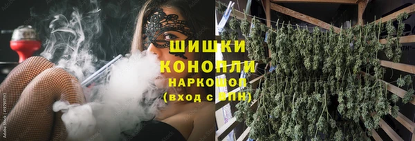 МДПВ Бородино