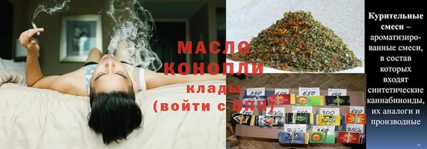 МДПВ Бородино