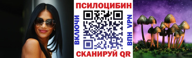 Галлюциногенные грибы Psilocybine cubensis  Луга 