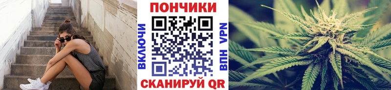 мориарти состав  Луга  Канабис сатива  продажа наркотиков 